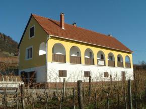 Pince és vendégfogadó.