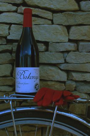Cabernet franc 2010
